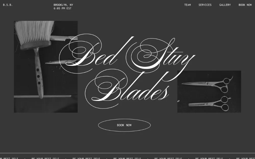 blades_image